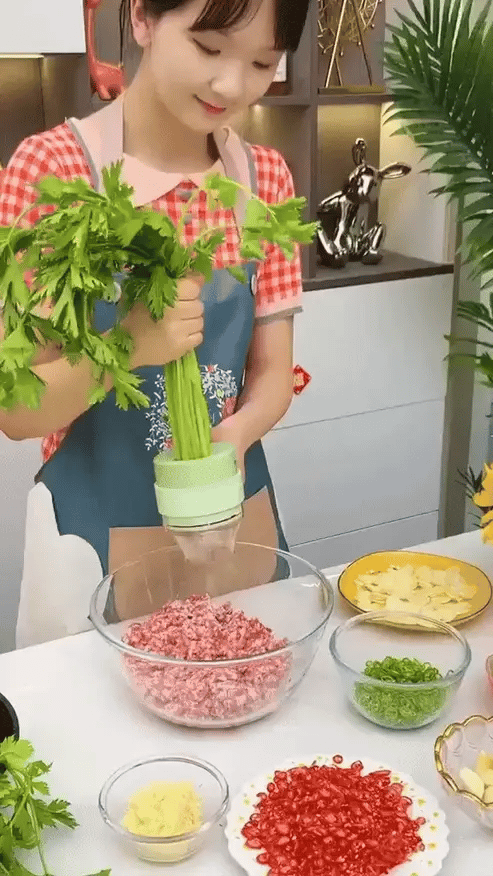4 in 1 Portable Electric Vegetable Cutter Set